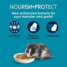 Kaytee Forti Diet Pro Health Hamster And Gerbil Food  Crunchy Treat  3 Lbs