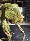 Resident Evil 2 Biohazard Ivy Plant Zombie Action Figure Toy Toybiz 1999 Capcom