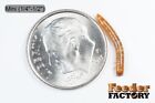 Live Superworms - 50-1000 Counts - Free Shipping 