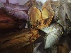 Dried Fish Danggit - Rabbitfish - Filipino Bonelessdanggit- 250 Grams