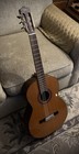 Cordoba   Mint   C7 Nylon String Rosewood Solid Cedar Top Classical W  Case