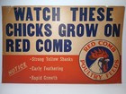 22  Antique Vintage 1950s Red Comb Poultry Feeds Graphic Farm Advertising Sign