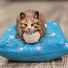 Vintage Cat Sculpture Lauren Marems Signed  Sleeping Tabby Cat Hand Painted Folk