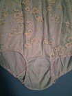 Vintage 60s Nylon Panties Size 7