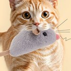 Mouse Rattle Squeaker Cat Toy Interactive Kitten Playing Kitty Touch Activated