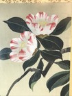 Vintage Painted Silk Framed Floral Blossom Oriental  Art  Picture
