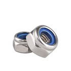 304 201 316 Stainless Steel Nylon Insert Lock Nuts Hex Nylock Nut
