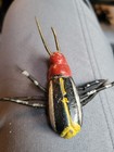 Vintage Paper Mache  Spider  Wire Spingylegs Folk Art Halloween Bug Insect 