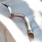 30  Silver Plate Jewish Shofar Kudu Horn With 12 Tribes Jerusalem Menorah   Grap