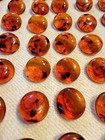 Vintage Translucent Amber Tortoise Plastic Shank Buttons 5 8  Lot Of 6