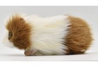 Bh3735 Hansa Guinea Pig 20