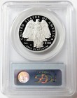 2008 W Platinum Proof  100 American Eagle 1 Oz Statue Of Liberty Pcgs Pr 70 Dcam