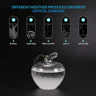 Weather Predictor- Storm Glass Weather Forecaster Weather Stations Glass Weather