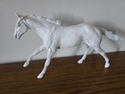 Artist Resin Model Horse  waterloo   Traditional Scale Thoroughbred
