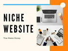 Ready Made Adsense Marketing Blog Turnkey Niche Website Business For Sale