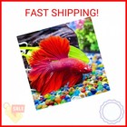 Keedolla Colorful Clear Sea Glass Pebbles Aquarium Gravel Fish Tank Rocks Small 