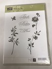 Stampin  Up  Watercolor Trio Clear Mount Stamp Set Flowers  Leaf  Birthday