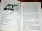 Rare German Shorthaired Pointer Dog Book By Gsp Club 1st 1965 Yearbook