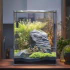 Vimvins 2 Gal Glass Fish Tank For Betta shrimp  Easy Maint  Aquarium