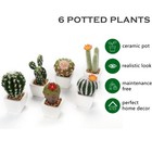 Mini Artificial Cactus Plants In Ceramic Pots 6 Pcs Potted Faux Succulents In   