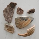 Unknown 1700 s Shipwreck Pottery Shards Artifacts  7  Possibly From 1733 Fleet