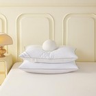 Standard Goose Feather Down Pillow  100  Soft Cotton Cover Bed Pillow For Sle   