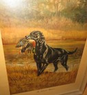 Vintage Lab Labrador Retriever Dog Hunter Bird Dog Print Signed Edwin Magargesi