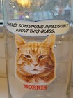 Vintage 1981 Morris The Cat Drinking Glass Libbey 9 Lives Something Irresistible
