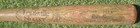 1980-83 Jeff Burroughs Game Used Bat  Game Issued Louisville Slugger B330 Al Mvp
