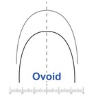 Dental Orthodontic Arch Wire Niti Super Elastic Round Rectangular Ovoid Natural
