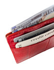 Red Shiny Genuine Alligator 5 Pocket Card Case - Usa