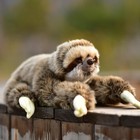Simulated Sloth Plush Realistic Three Toed Sloth Animal Doll
