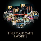 Sheba Meaty Tender Sticks Soft Cat Treats With Chicken  Tuna Flavor  40 Count