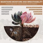 Nupick 12 Lbs Pebbles For Indoor Plants  3 8 Inch Pea Gravel For Fish Tank 