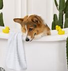 Bath Towels Cotton Soft And Absorbent Bath Gym Pool Towel 24x50 6-pack White