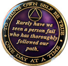 1 Year Aa Founders Purple Tri-plate Medallion Bill   Bob Sobriety Chip One