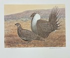 1978 Montana - State Duck   Bird Print - Sage Grouse - Artist Signed Stamp