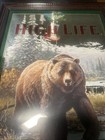 Miller High Life Beer  Wildlife Mirror Brown Bear 14x25 Mirror Scott Zoellick