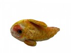 Steiff Animal Stuffed Animal 2301 22 Fish 13 X 26 Cm  Excellent Condition