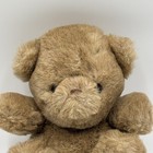 Vintage Eden Cocoa Brown Sitting Teddy Bear Plush Stuffed Animal Made In Korea