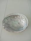 Vintage Red Abalone Shell Iridescent 8 1 2    X 7    Large   2 