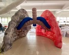 Giant Inflatable Lung Medical Exhibits Advertising Large Inflatable Human Organs
