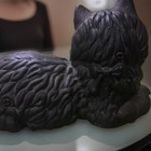 Vintage Cast Iron Black Cat Doorstop Hearth Or Fireplace Decor