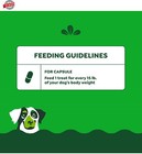 Greenies Pill Pockets For Dogslarge Sizesoft Dog Treats  With Real Peanut Butter