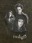 Twilight Men Shirt M Blue Characters Edward Cullen Bella Swan Jacob Graphic Tee