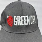 Vtg Y2k Green Day American Idiot Gray Bio-domes Wool Blend Cap Hat Osfm