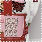 Strawberry Shortcake   Twin   White Pink Plush Blanket 60x90 Soft Kids New