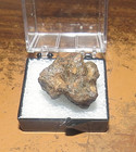 12 Gm Sericho Pallasite Meteorite Individual From Kenya Case Olivine Jal Top Gd