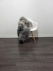 Icelandic Sheepskin Rug   Sheepskin Rug  Soft Silky Long Wool  c440