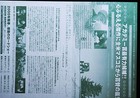 The Straight Story 1999 David Lynch Japanese Movie Poster Flyer  size B5 
